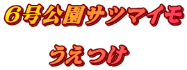 ６号公園サツマイモ  　　うえつけ